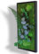Myvegetal HM tableau végétal stabilisés eucalyptus sans entretiens - tableau de plantes et décoration murale d'intérieur, plantes et fleurs éternel made in France, 52 x 23 cm
