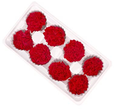 MAGICLULU 8 Stücke 4-5cm Rot Ewige Nelke Getrocknete Blumen für Romantische Geburtstag
