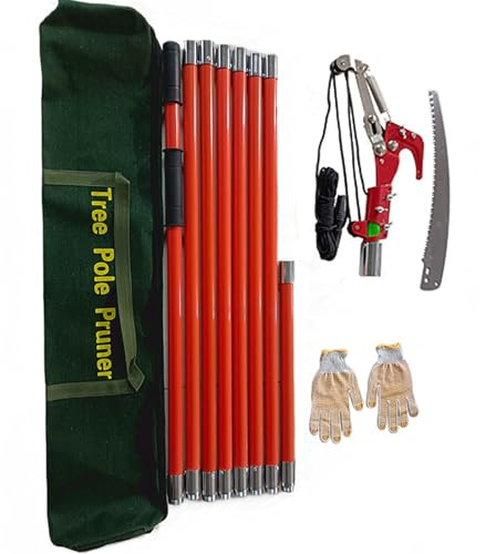 Scie à perche manuelle, scie d'élagage d'arbre à longue portée, avec ciseaux et gants, longueur réglable de 2 à 6 m, légère et robuste, cisailles à arbres extensibles à ciseaux, pour la foresterie