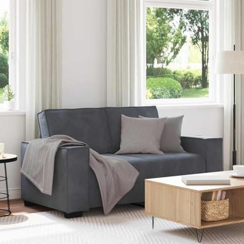 KAYAA 2 Sitzer Sofa Stoff 120 cm, Modern Getuftetes Mini Couch für Wohnzimmer/Schlafzimmer/Büro/Wohnung, Dunkelgrau