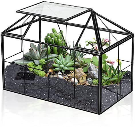 Terrario in vetro a forma di serra, per piante succulente, terrario, container, decorazione da tavolo, kit fai da te (5,4 L x 9,1 W x 7,3 H)