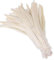 Yalulu 20 Stück 30-35 cm Größere Natur Feder Hahn Feder Fasan Hahnfeder Federn zum Basteln Kopfschmuck Schmucksfedern DIY (Beige)
