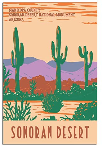 Sonoran Desert National Monument Arizona Vintage Reise Poster Leinwand Kunst Zuhause Zimmer Wanddekoration Bild Poster Druck Gemälde Geschenk Poster