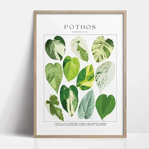 Yocheng Grüne botanische Blätter Innen Kunstdruck Zimmerpflanzen Natur drinnen Leinwand Wand Home Decor Poster Laub und Pflanze 30x40cm ohne Rahmen