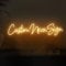 Insegne al neon personalizzate, dimmerabili personalizzate a LED, adatte per matrimoni, familiari, compleanni, bar, feste notturne, logo aziendale o insegne aziendali, nome regalo luci al neon