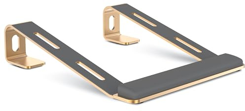 NTMY Laptop-Ständer für Schreibtisch, Laptop-Ständer mit Handgelenkstütze, Computer-Ständer für Laptop, belüftet, ergonomisch, Laptop-Ständer mit Handgelenkpolster, Ständer für Laptop auf dem