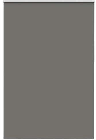 vidaXL Estor Enrollable Opaco Gris 150x210 cm Tela Ancho 146,6 cm