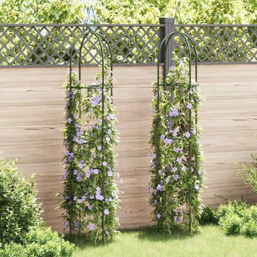 QUAHEAS Lot de 2 tours de vigne de jardin en fer vert foncé 38 x 190 cm tuteurs pour roses, plantes grimpantes, pergola, treillis, arche pour jardin, balcon, terrasse, décoration, brise-vue