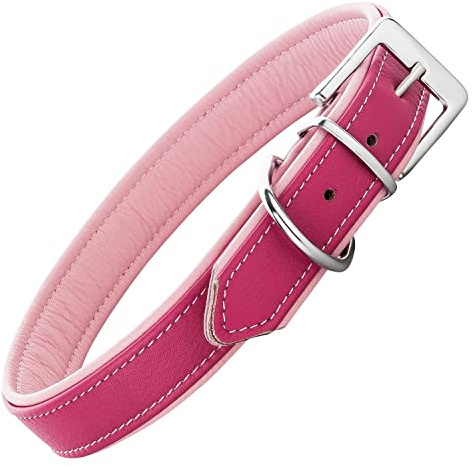 Schnüffelfreunde Lederhalsband Fun Line - Hundehalsband für den großen, mittleren und kleinen Hund - Halsband für Hunde aus Leder - gepolstert & robust (S - 24-30cm, Pink-Rosa)