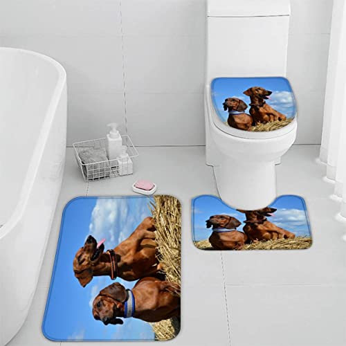 Badematten Set 3D 40x60 Dackel absorbierend 3-teiliges Badezimmerteppich-Set maschinenwaschbare weich badteppich schnell trocknend badvorleger mit wc deckelbezug Haustier Herbst