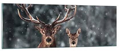 Panorama Bilder auf Glas Hirsch Rentier Reh Glasbild 90x30cm Wandbilder Dekoration Wohnzimmer Schlafzimmer Küche Klein Wanddeko Bild im Glas Wand Kunstdruck Art Modern Wall Decor GAB90x30-5060
