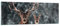 Panorama Bilder auf Glas Hirsch Rentier Reh Glasbild 90x30cm Wandbilder Dekoration Wohnzimmer Schlafzimmer Küche Klein Wanddeko Bild im Glas Wand Kunstdruck Art Modern Wall Decor GAB90x30-5060