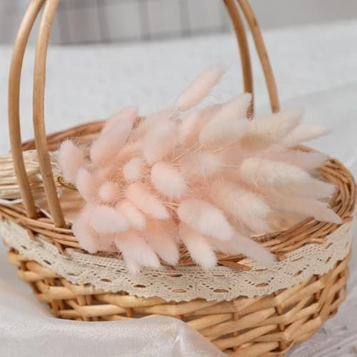 SERVEL 100 pièces Fleurs Naturelles séchées Pampa Lapin Queue Herbe Bouquet Mariage décorations pour la Maison Lapin Queue Plantes Pampa Herbe Boho décor