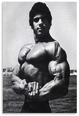 Fitness-Workout-Poster, Lou Ferrigno, Bodybuilder-Poster, Leinwand, Wandkunstdrucke für Wanddekoration, Raumdekoration, Schlafzimmer, Dekoration, Geschenke, Poster, 40 x 60 cm, ungerahmt, 40 x 60 cm