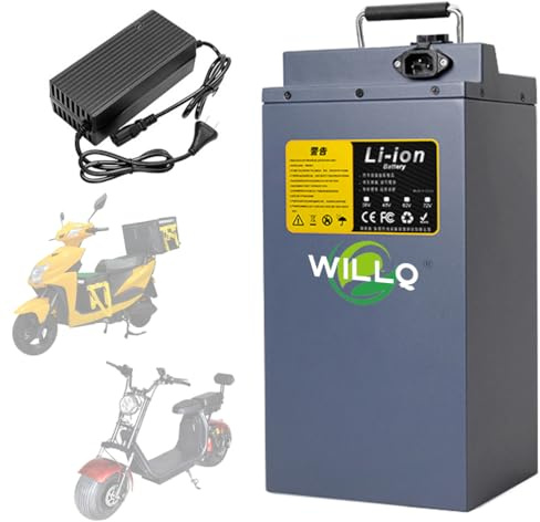 WILLQ 48-Volt-Scooter-Akku 48V 15Ah 20Ah 25Ah Lithium-Ionen-Akkupack für Elektrofahrräder mit 500W, 750W, 1000W und 1200W E-Dreirad-Motorradmotor,48v25ah