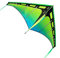Prism Zenith 5 Cerf-Volant Unisex Adult, Aurora, 163 x 90 cm