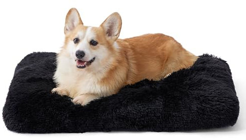 BEDSURE Flauschiges Hundebett mittelgroße Hunde - 74x53x8 cm Hundebett waschbar, rutschfeste Unterseite, plüsch Hundekissen, Schwarz
