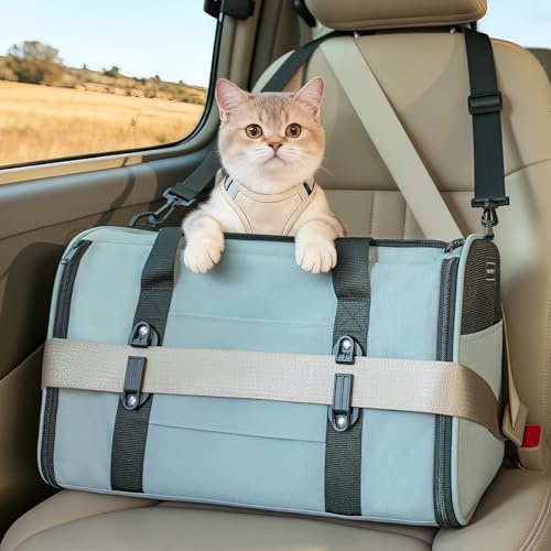 Petsfit Haustier-Tragetasche, von Fluggesellschaften zugelassen, weiche Katzentrage mit patentierter Autoschnalle, leicht und zusammenklappbar, mit verstellbarem Schultergurt, weiches Kissen, Grün
