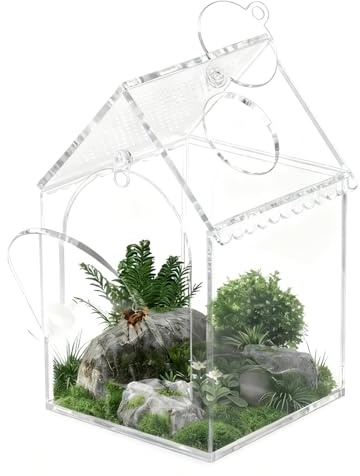 Spinnenterrarien Isolationsbecken aus Acryl für Habitate