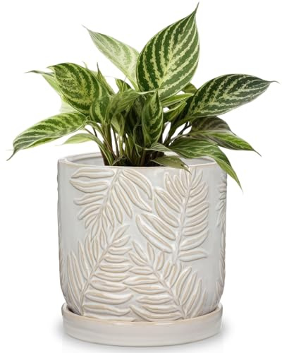 Arborus Ceramic Plant Pots 14CM White Plant Pots with Drainage Holes and Saucer Modern Embossed Leaf Ceramic Planter Indoor Plants Pot Decorative Flower Pot for Garden Succulents Cactus Orchid