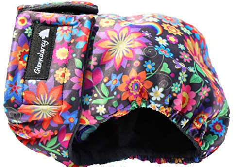 Glenndarcy No Tailhole Dog Season Nappy - French Bulldog - (Large & 2 Washable Pads, Daisy)