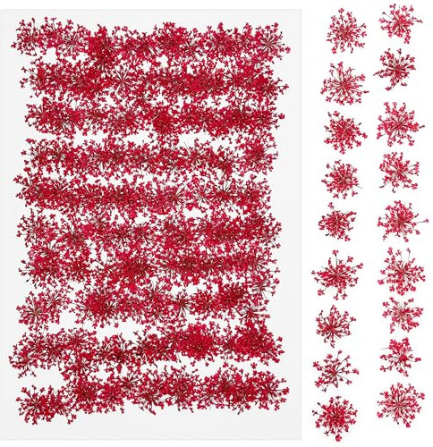 Cayway Getrocknete Blumen, 150 Stück Getrocknete Gepresste Blätter, Natürliche Getrocknete Blumen, Natürliche Trockene Blätter für DIY Harz Scrapbooking Handwerk Karten Machen, Spitze Blume