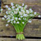 6 pcs Märzenbecher Zwiebeln Kaufen stauden winterhart mehrjährig zwiebeln Leucojum vernum frühlingsblumen geschenke für gartenfreunde blumen winterhart, bienenfreund blumenwiese winterharte