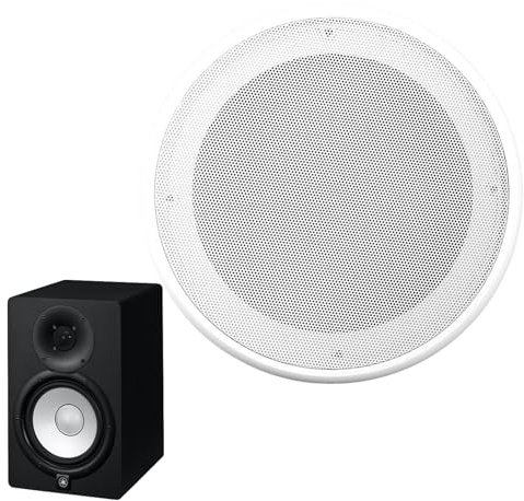 50g Speaker Grill – Metal Guard, White Dust-Proof Mesh | Stylish Round Cover with Ceiling Mount Design, Space-Saving Protective Shield for Car Audio System and Daily Vehicle Use