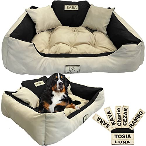 EDANTI Hundebett Hundekissen Katzenbett Personalisiert Hundesofa mit Namen L - XL für große mittelgroße & kleine Hunde (100x75, Beige)