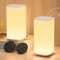 Bonsery Nachttischlampe Touch Dimmbar 2er Set, LED Tischlampe Touch mit Fernbedienung 256 Farben und 3 Modi, Kabellose Nachtlicht Stilllicht Dimmbar mit ladefunktion & Timerfunktion für Schlafzimmer