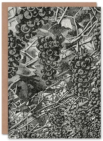 Artery8 John Wright Art Card Fruit Growers Guide Grape Vine