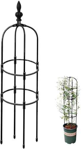 Obélisque de Jardin de 47 Pouces pour Plantes grimpantes, Treillis d'obélisque antirouille, Facile à Installer, Support pour Plantes grimpantes, Cadre pour en Pot
