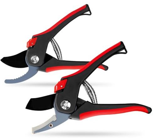 WALTER Gartenschere 2er Set - Bypass- und Amboss-Schere, ergonomische Soft-Grip-Griffe, gehärtete Edelstahlklingen, präzise und kraftvolle Schnitte, ideal für Blumen und Äste