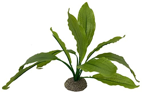 Aqua Della, Künstliche Pflanze, bunt, aus flexiblem Kunststoff, Echodorus, 2, 24 cm, Grün, robuster Standfuß, bietet Schuppen und Orte der Reproduktion, geeignet für Aquarien und Terrarien