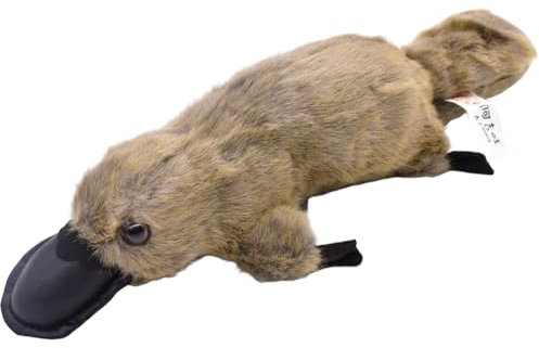 PEAJPBS Schnabeltier Gefülltes Tier Spielzeug Plüschtier Entenball Puppe Kissen Puppe Entenball Simulation Plüsch Kissen Bequeme und Weiche Puppe Schlafzimmer