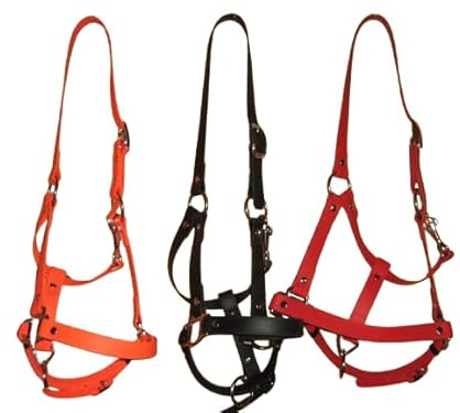 RHRH BioThane Halfter BASIC genietet bunt MADE IN GERMANY (Schwarz, WB)