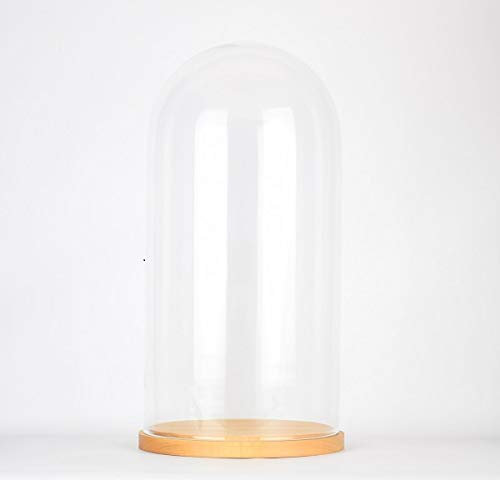 EMH Cloche en verre avec socle en bois Hauteur 41,5 cm