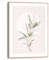 REINDERS Gerahmtes Bild, Circle Olives, Wohnzimmer, Poster, Wanddeko, Room Decor, MDF, Grün, 40x30cm