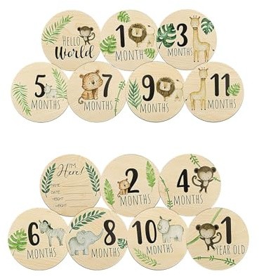 BAISEBAOFU 7pcs Baby Milestone Cards, Wooden Double Sided Round Signs, Newborn Welcome Sign Photo Props for Baby Shower Infant Photography (7)