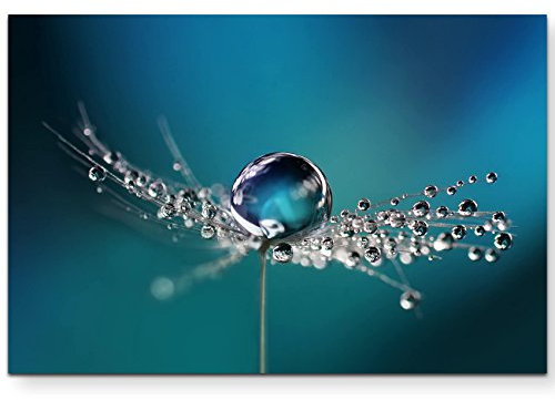 Paul Sinus Art Leinwandbilder | Bilder Leinwand 120x80cm Wassertropfen auf einer Pusteblume