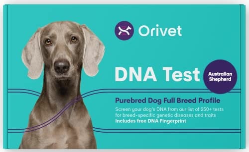 ORIVET German Shepherd Full Breed Profile Dog DNA Test Kit Umfassende Gesundheits- und Merkmalsuntersuchung