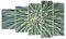Mehrteilige Bilder auf Leinwand Agave Grün Pflanze Leinwandbild 100x60cm Wandbilder Dekoration Wohnzimmer Schlafzimmer Set 5 teilige Groß Wanddeko Bild Wand Kunstdruck Art Decor Canvas EG100x60-4905