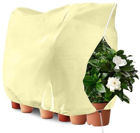 OFFCUP Winterschutz für Pflanzen 200 x 240cm Frostschutz Pflanzenabdeckungen 60g/m² mit Reißverschluss Zugband, Pflanzenschutz Winter für Baum Palmen Balkonpflanzen Haube