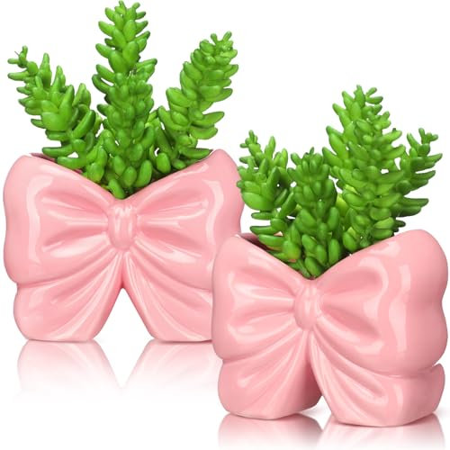 2 Pcs Coquette Bow Succulent Pots with Drainage Pink Bowtie Ceramic Planter Pots Plants Holder Bowtie Shaped Cactus Flower Container for Home and Office Desk Display Coquette Party Decoration