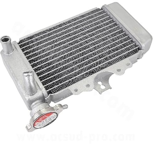Radiatore Compatibile per Sh 125 150 i/DD 2006 2007 2008 2009 2010 2011 2012