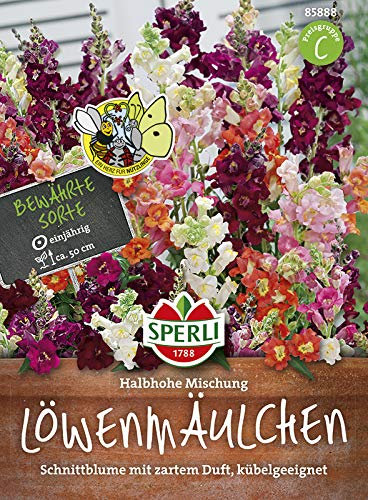 Sperli 85888 Löwenmaul Medio Mischung (Löwenmaulsamen)