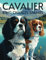 Cavalier King Charles Spaniel Colouring Book: A colouring book for adults or children with adorable images of King Charles Cavaliers