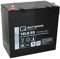Q-Batteries 12LS-55 / 12V - 55Ah Blei Akku Standard-Typ AGM VRLA 10 Jahres Typ