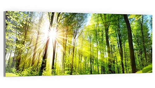 DEQORI Glasbild Echtglas | Motiv Licht durchdringt Bäume | horizontal einteilig 150x60 cm | schöne Dekoration | Wandbild für Wohnzimmer, Schlafzimmer, Flur & Küche | moderne Wanddeko