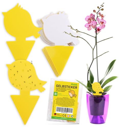 Chillife Trappola per moscerini I 30 trappole anti moscerini piante interno I Adesivi gialli efficaci ed ecologiche I fly catcher trap mosche antimoscerini I 3 motivi uccelli